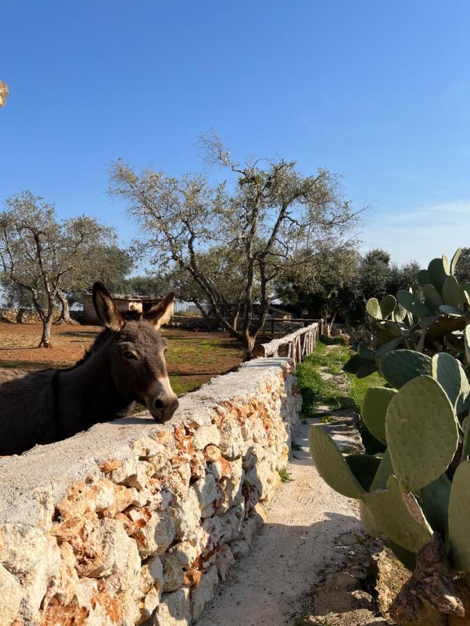 Trulli Dell'Angelo Villa Specchiolla Luaran gambar